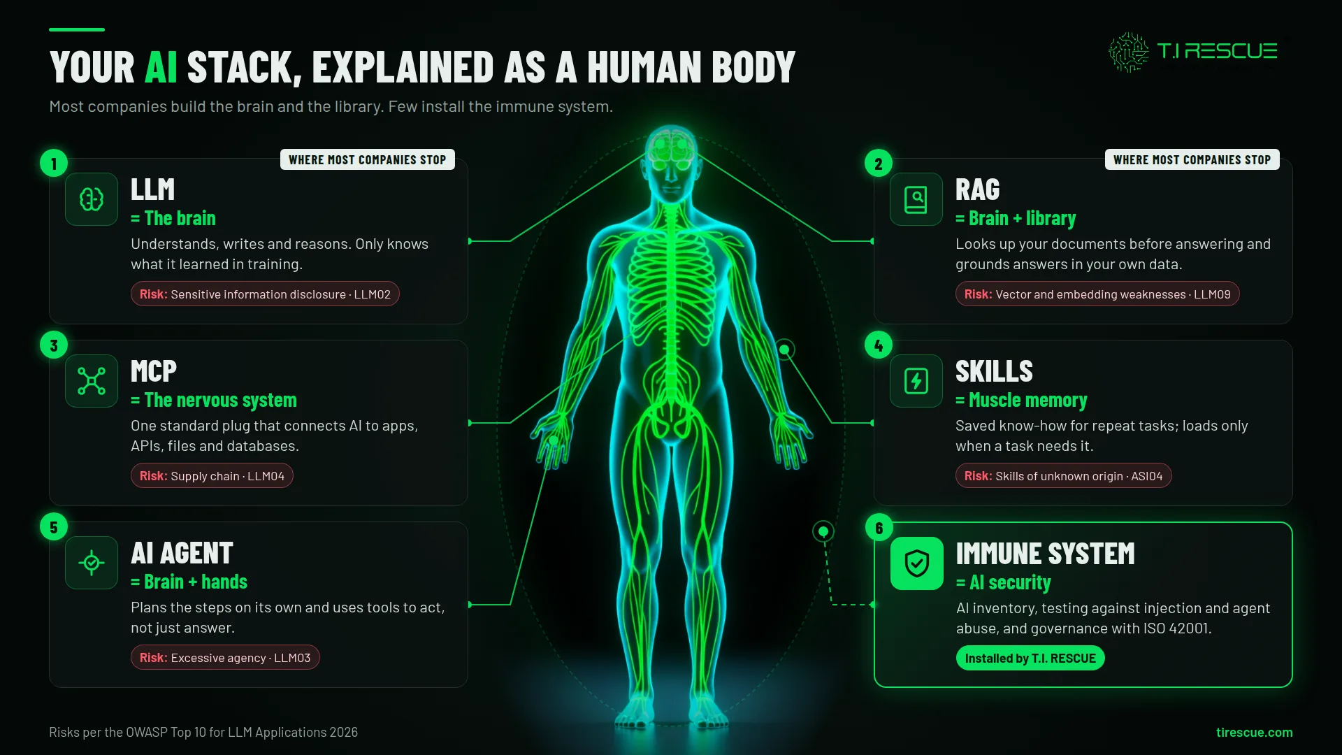 LLM, RAG, MCP, skills and agents as organs, with the OWASP 2026 risk of each layer; the immune system is AI security.