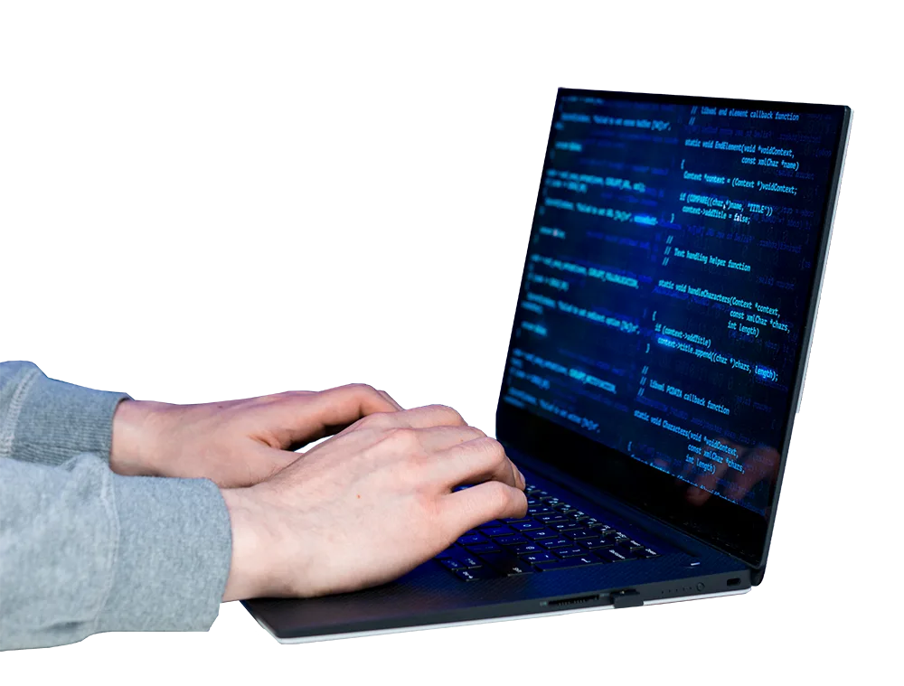tecnica fuzzing
