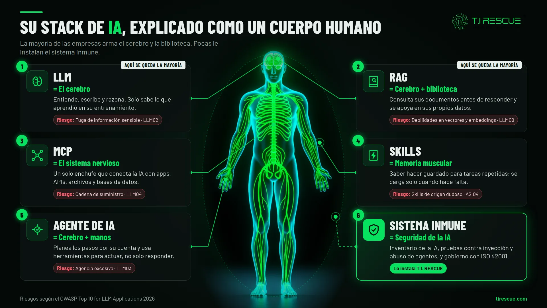 LLM, RAG, MCP, skills y agentes como órganos, con el riesgo OWASP 2026 de cada capa; el sistema inmune es la seguridad de la IA.